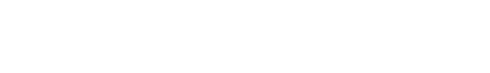 Novus_Logo_White_wordmark_transparent.png